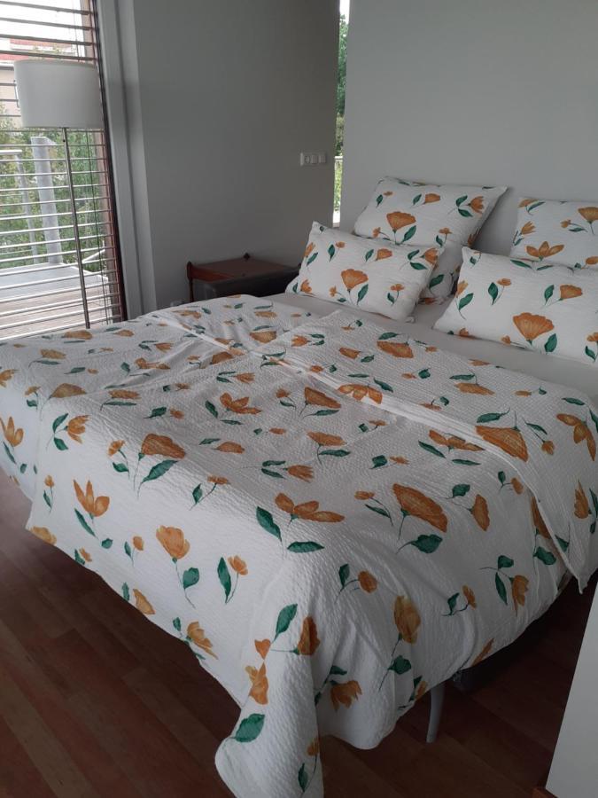 Lagrette Ferienwohnung Am Hainer See Neukieritzsch Eksteriør billede